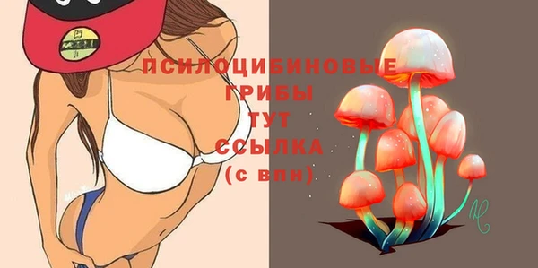 первитин Краснослободск